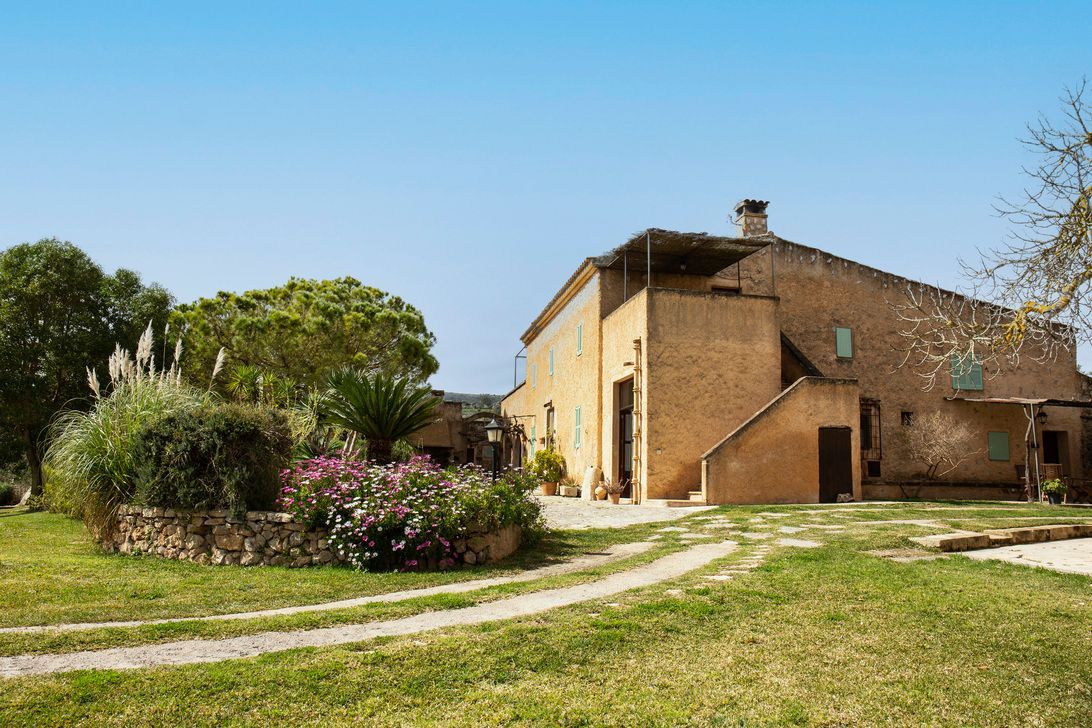 Un ramo de flores de color púrpura crece delante de un edificio.