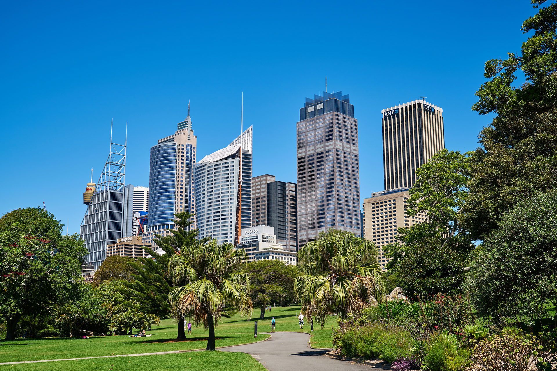 The Royal Botanic Garden