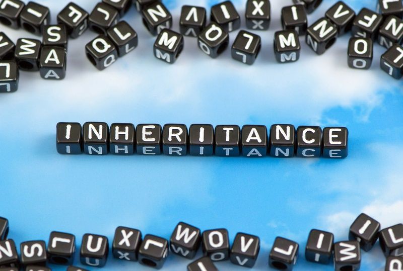 inheritance