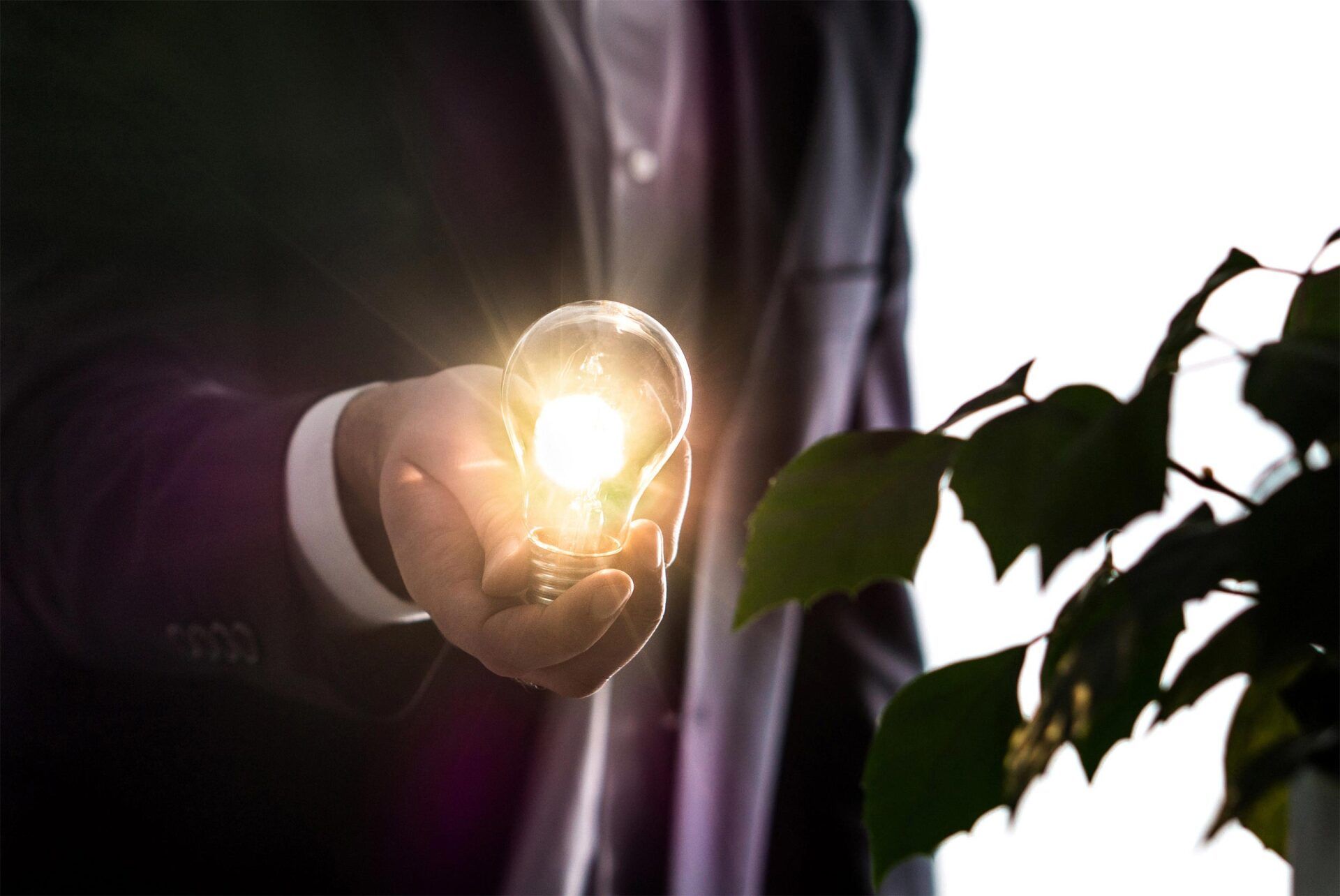 A man in a suit is holding a light bulb in his hand.