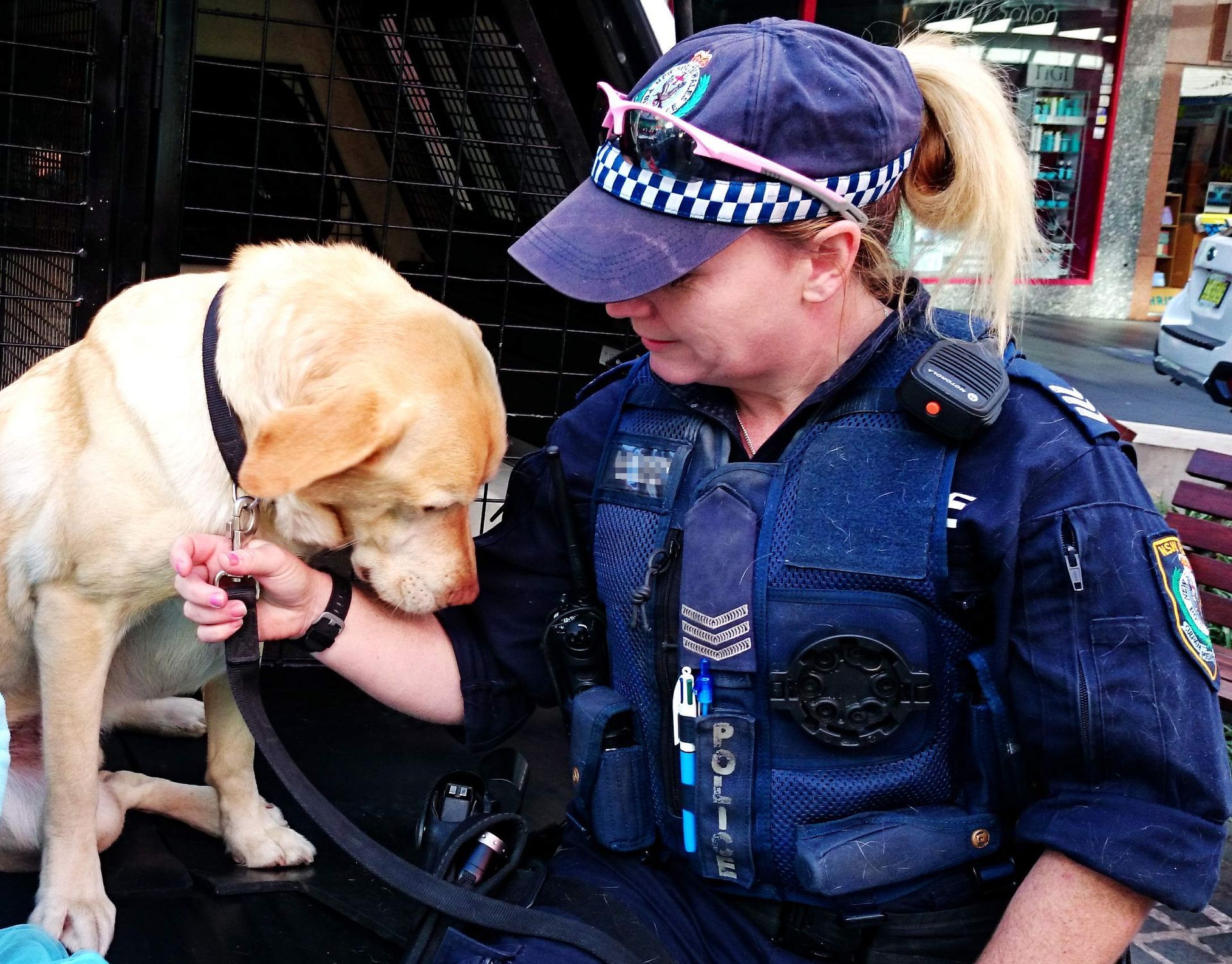 a police and a sniffer dog