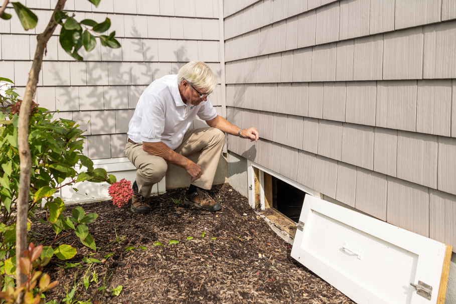 pest and building inspection report