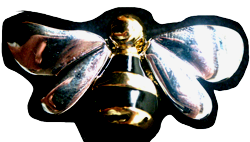 A close up of a bee with a black background