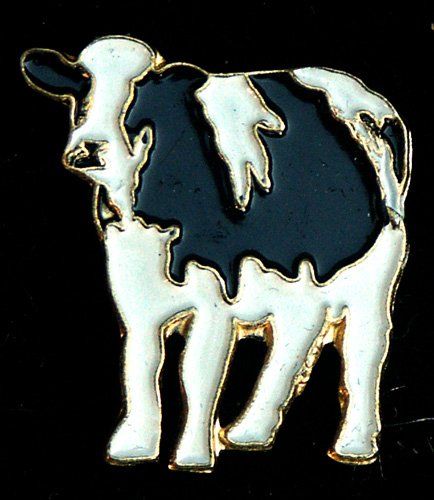 A black and white cow on a black background