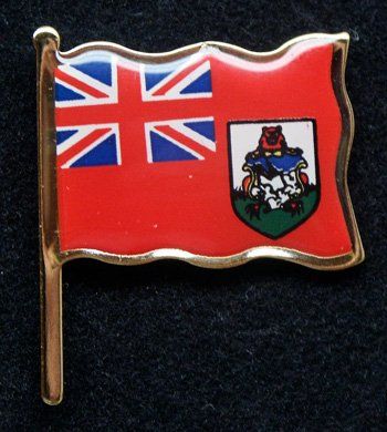 A red and blue flag with a bear on it