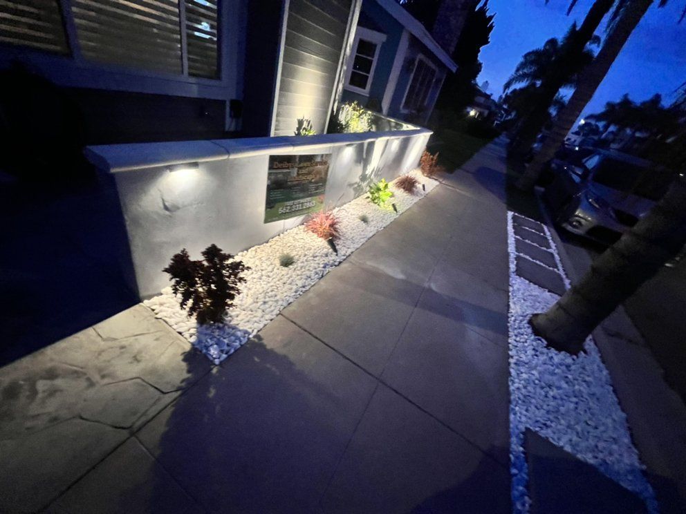 A sidewalk with plants and rocks in front of a house at night