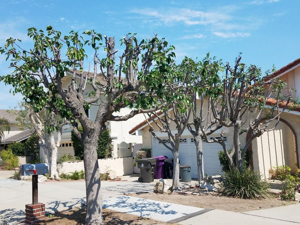 A house with a mailbox in front of it