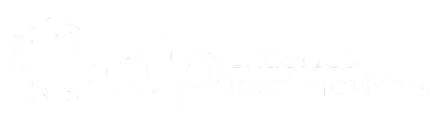 A white background with a few lines on it