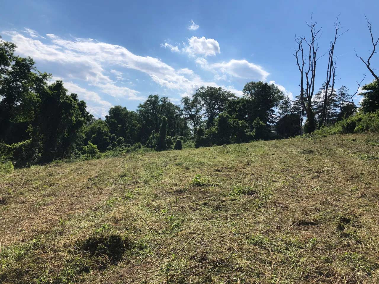 Empty Lot for Clearing — West Chester, PA — Prime Services, PA