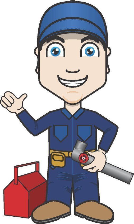 Choose us for flue system checks