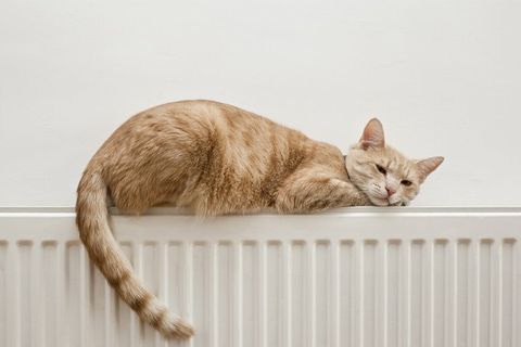 Central heating upgrades