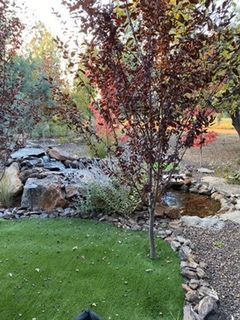 A landscape with a small waterfall, pond, and a tree with red leaves, next to green grass.
