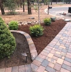 Brick walkway next to landscaped bed with shrubs and mulch.