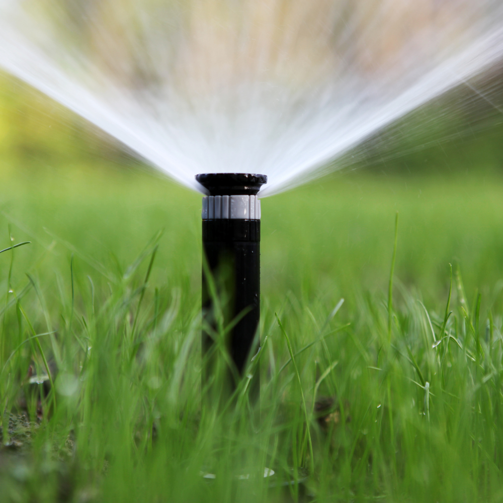 Sprinkler in green grass spraying water.