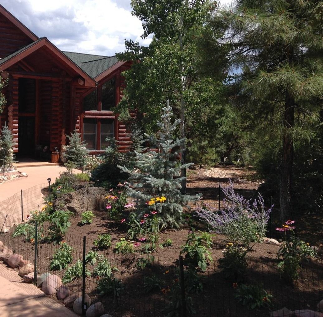 Log cabin home with a landscaped garden. The home is brown, and the garden has flowers and trees.
