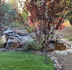 Lush green lawn borders a rocky waterfall cascading into a small pond, surrounded by trees with reddish-purple leaves.