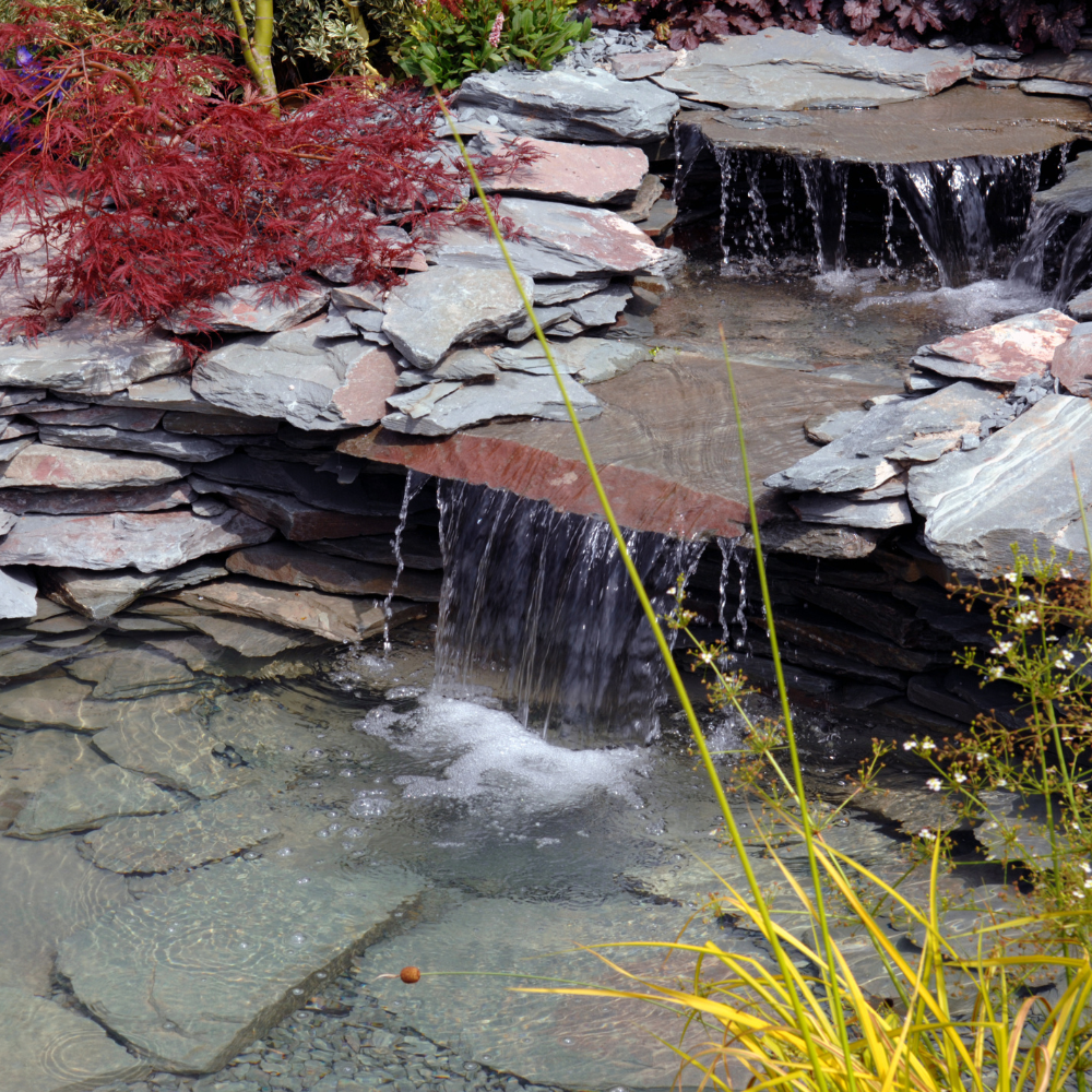 Waterfalls cascading into a pond built with slate. Red foliage overhangs the pond.