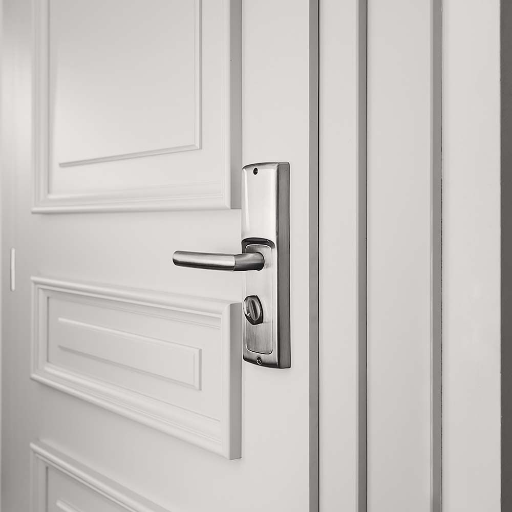 Silver door handle on a white door with molding.