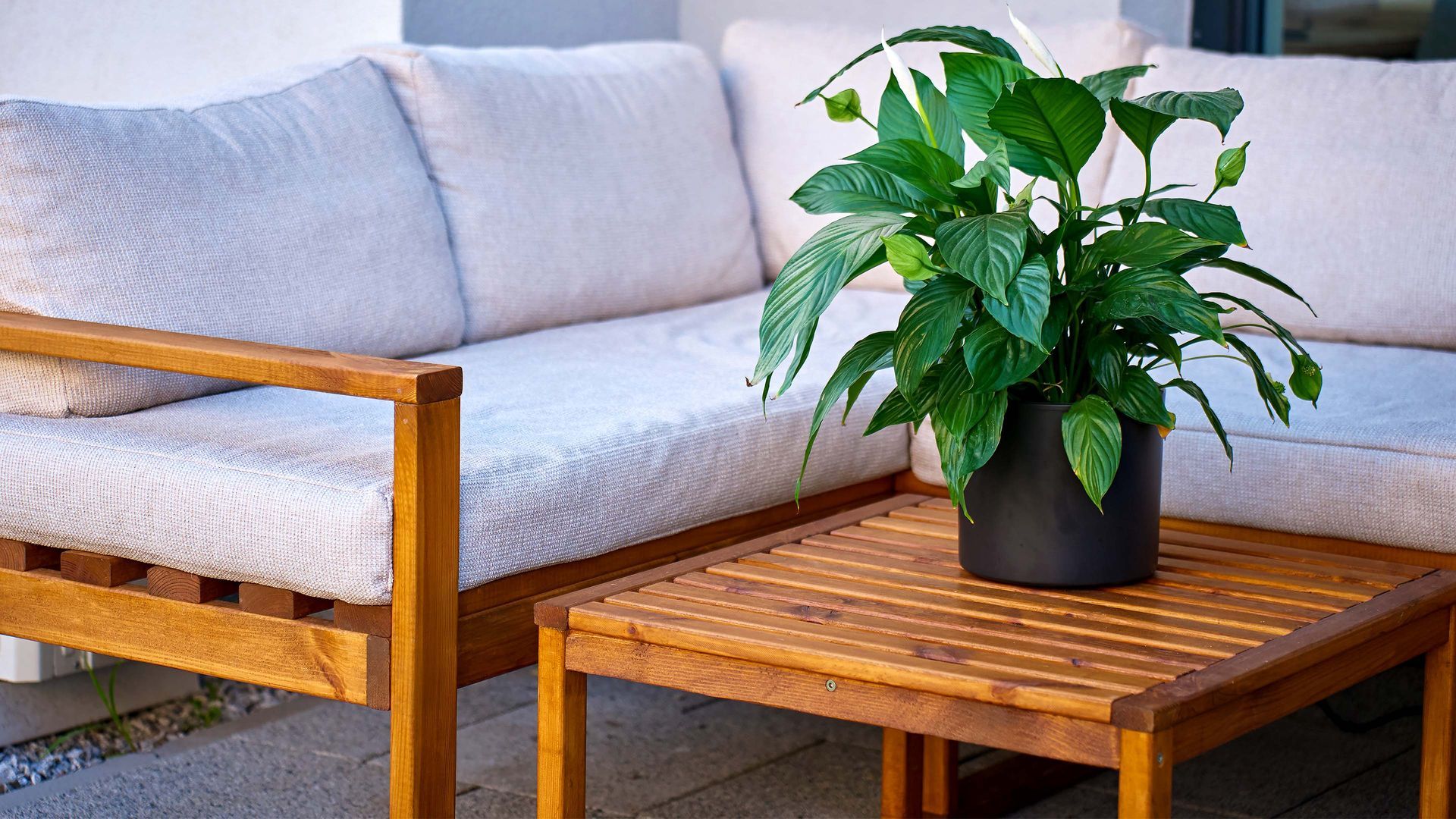 Outdoor seating area with wooden sofa, matching table, and potted green plant