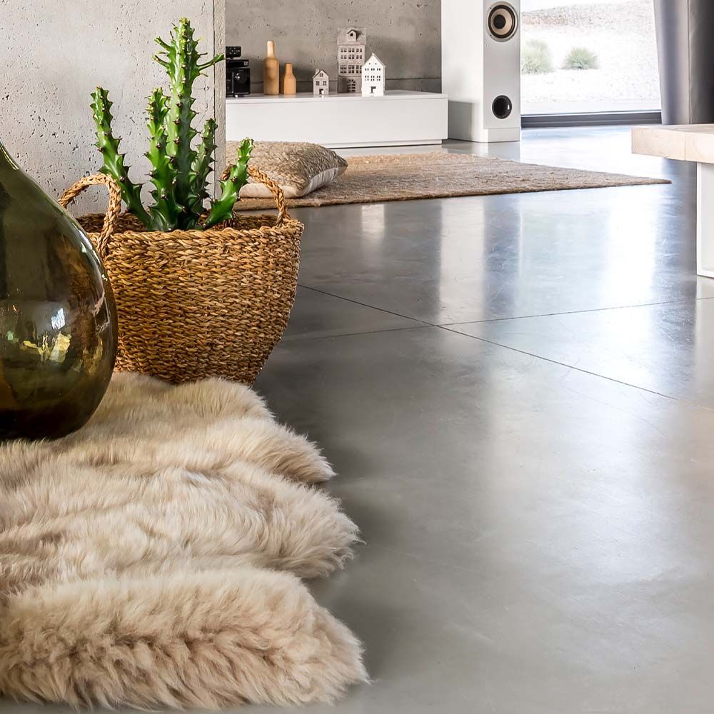 A cactus in a woven basket sits on a rug next to a reflective floor.