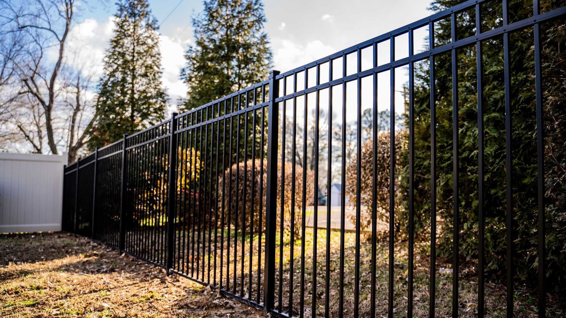A black metal fence surrounds a yard with trees in the background.