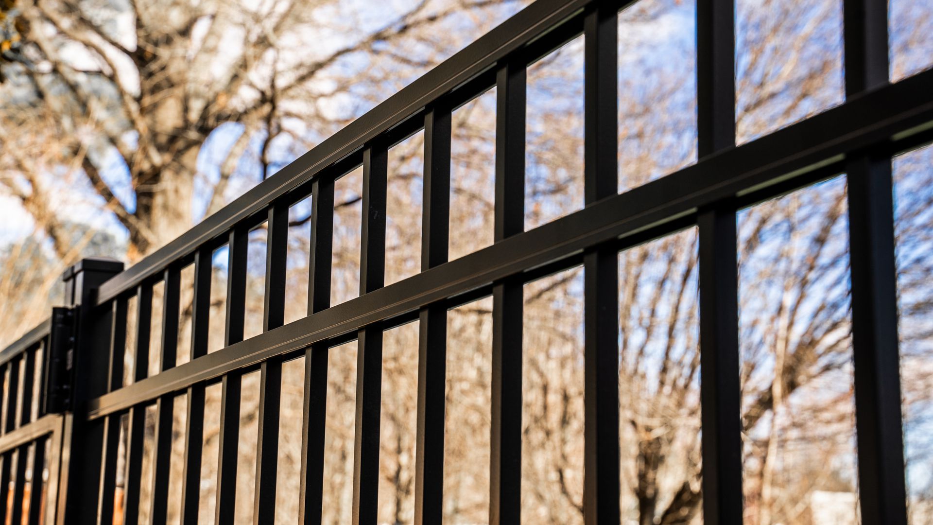 Black metal fence with vertical bars, blurry trees and sky in the background.