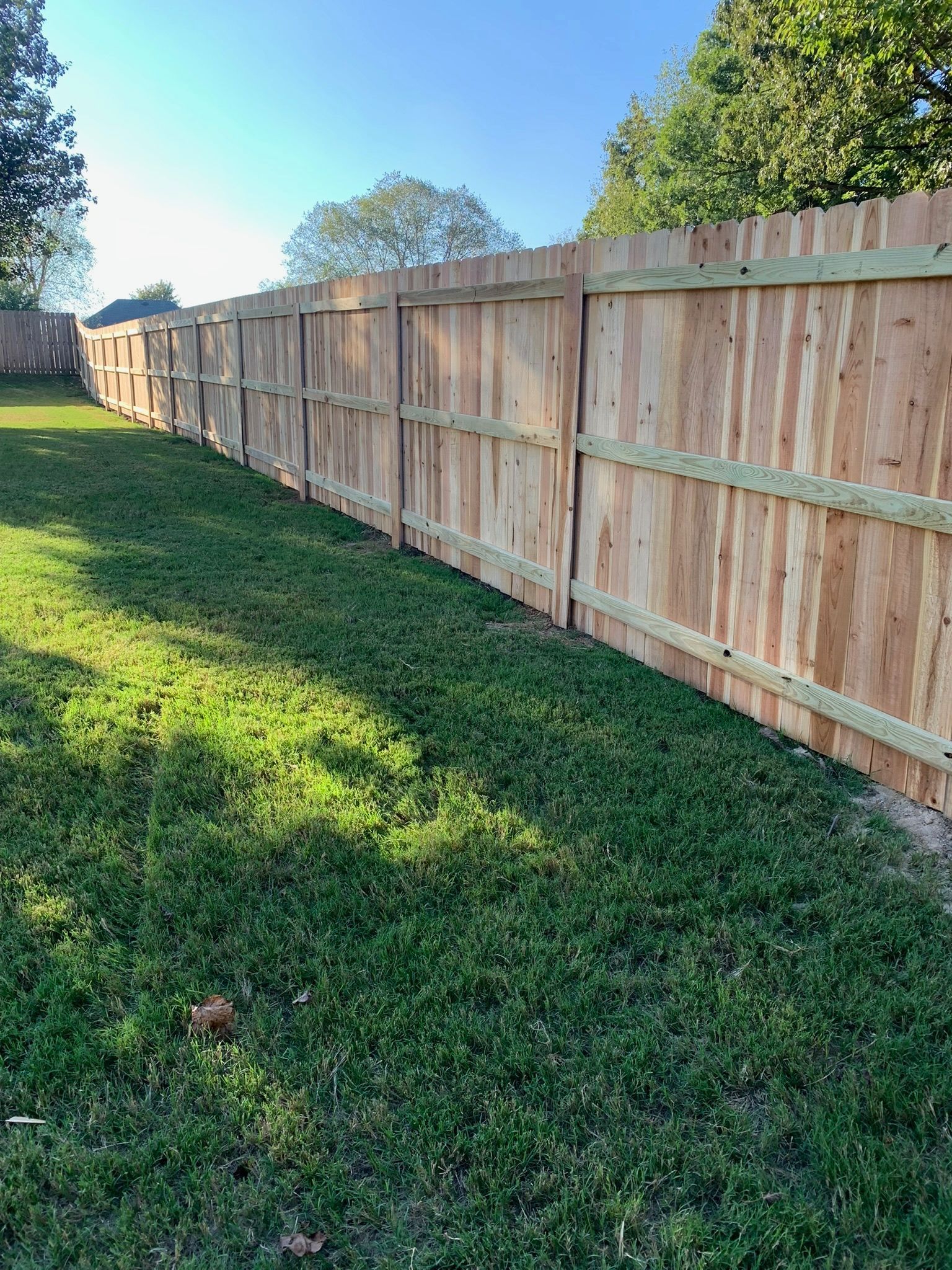 A fence surrounds a basketball court in the middle of a forest.