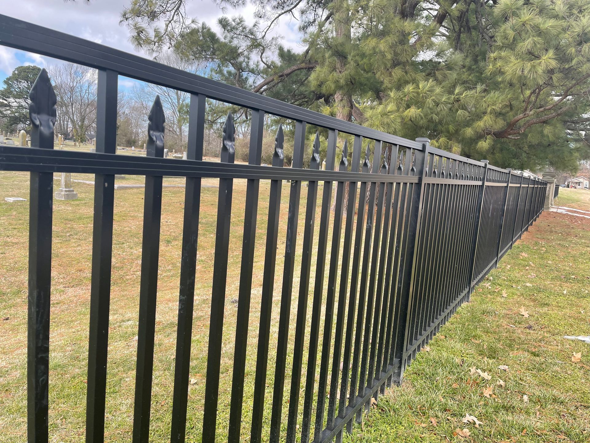 A black metal fence surrounds a grassy field with trees in the background.