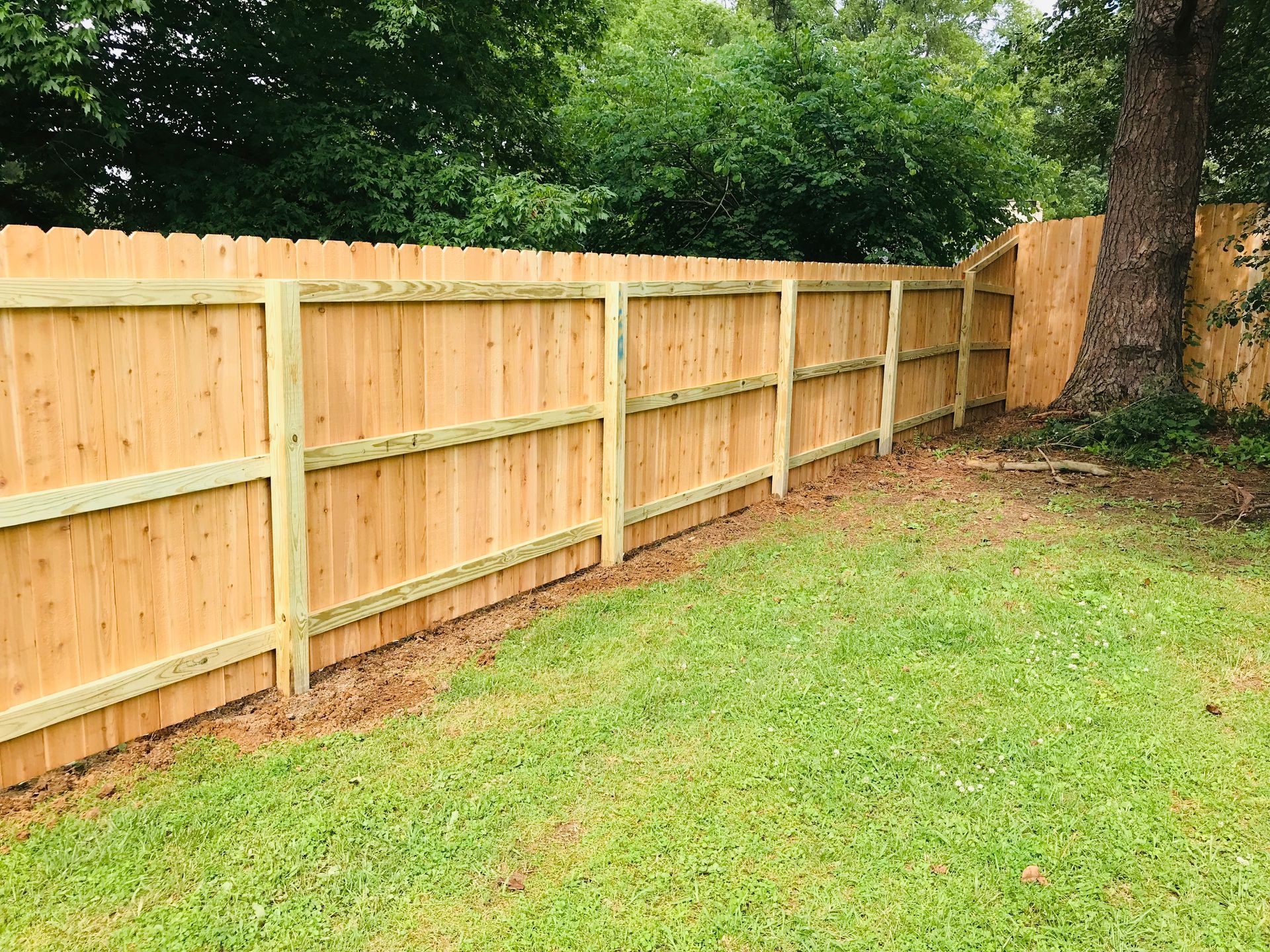 Wooden privacy fence in backyard with green grass and trees.