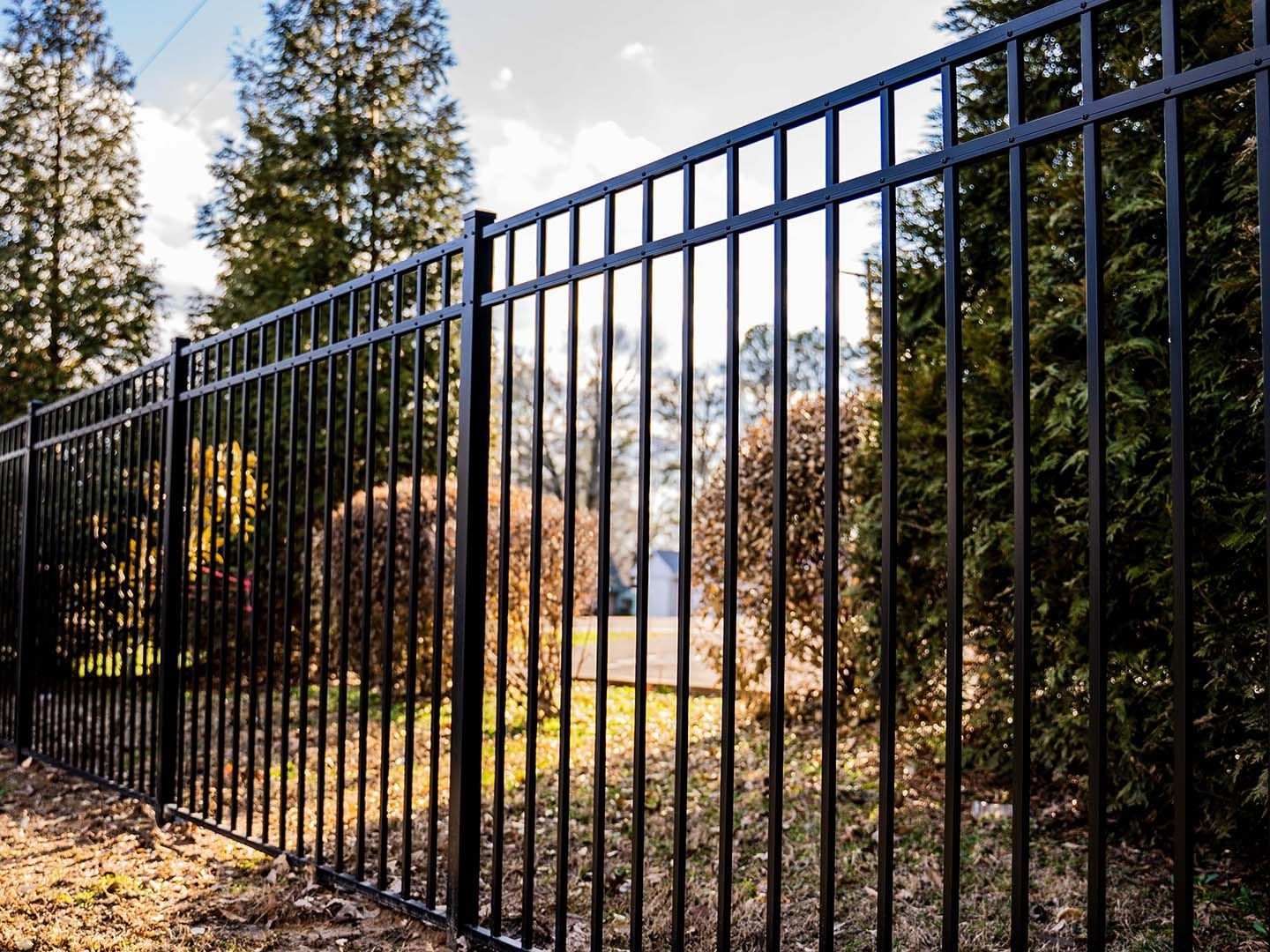 A black metal fence surrounds a yard with trees in the background.