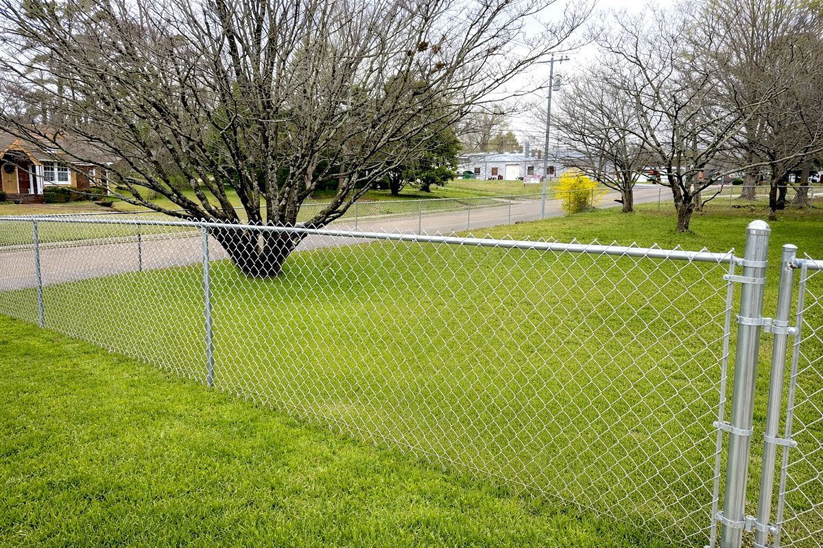 Chain-link fence in front of green grass, trees, and houses. Overcast day.