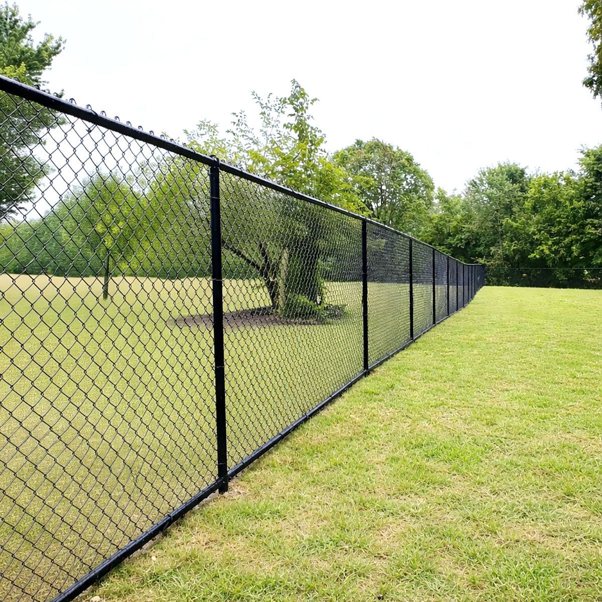 Black chain-link fence on a green grassy lawn, trees in the background, daytime.