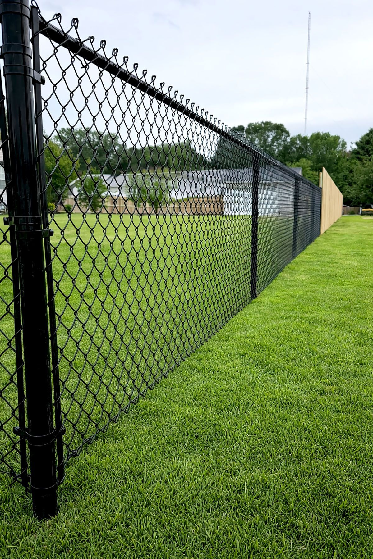 Black chain-link fence bordering a green lawn, with a section of wood fence visible.