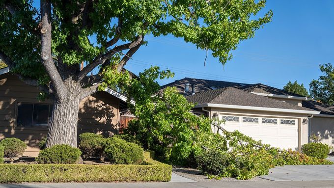 A house with a fallen tree in front of it