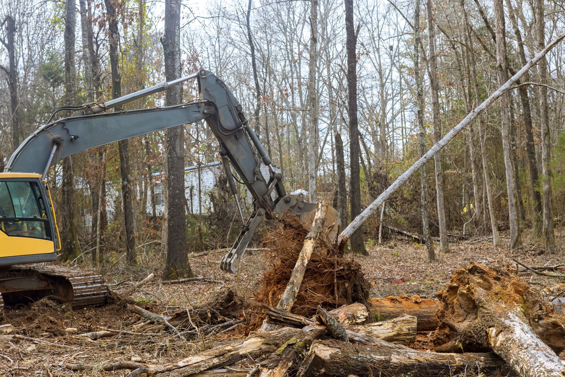 A yellow excavator is cutting down a tree in the woods.