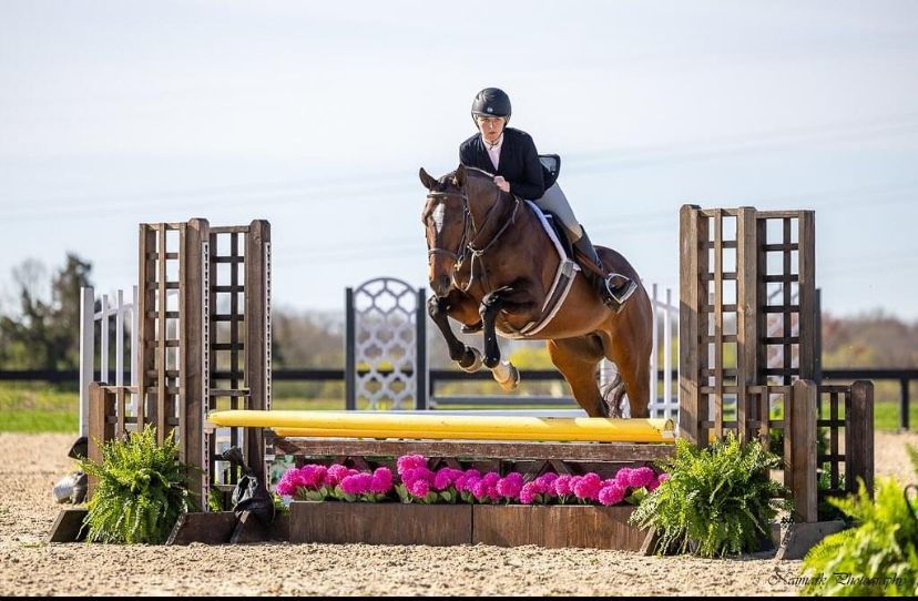 A woman is riding a brown horse over a jump. — Paoli, PA — Hare Chase & Heckman