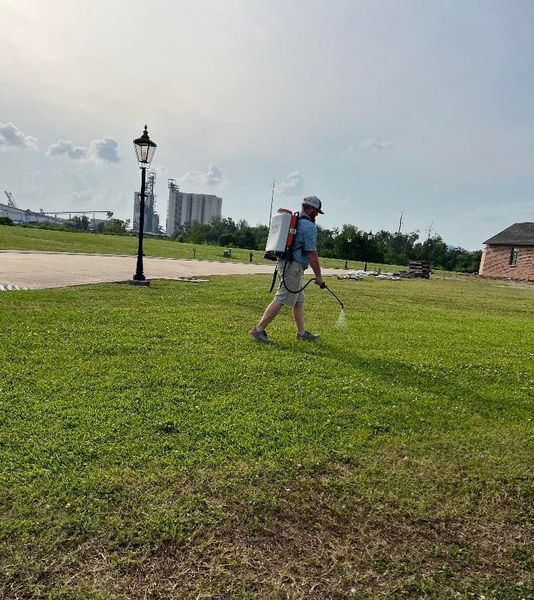 A person spraying a grassy area with a backpack sprayer. They're standing on grass, near a lamp post and building, under a cloudy sky.
