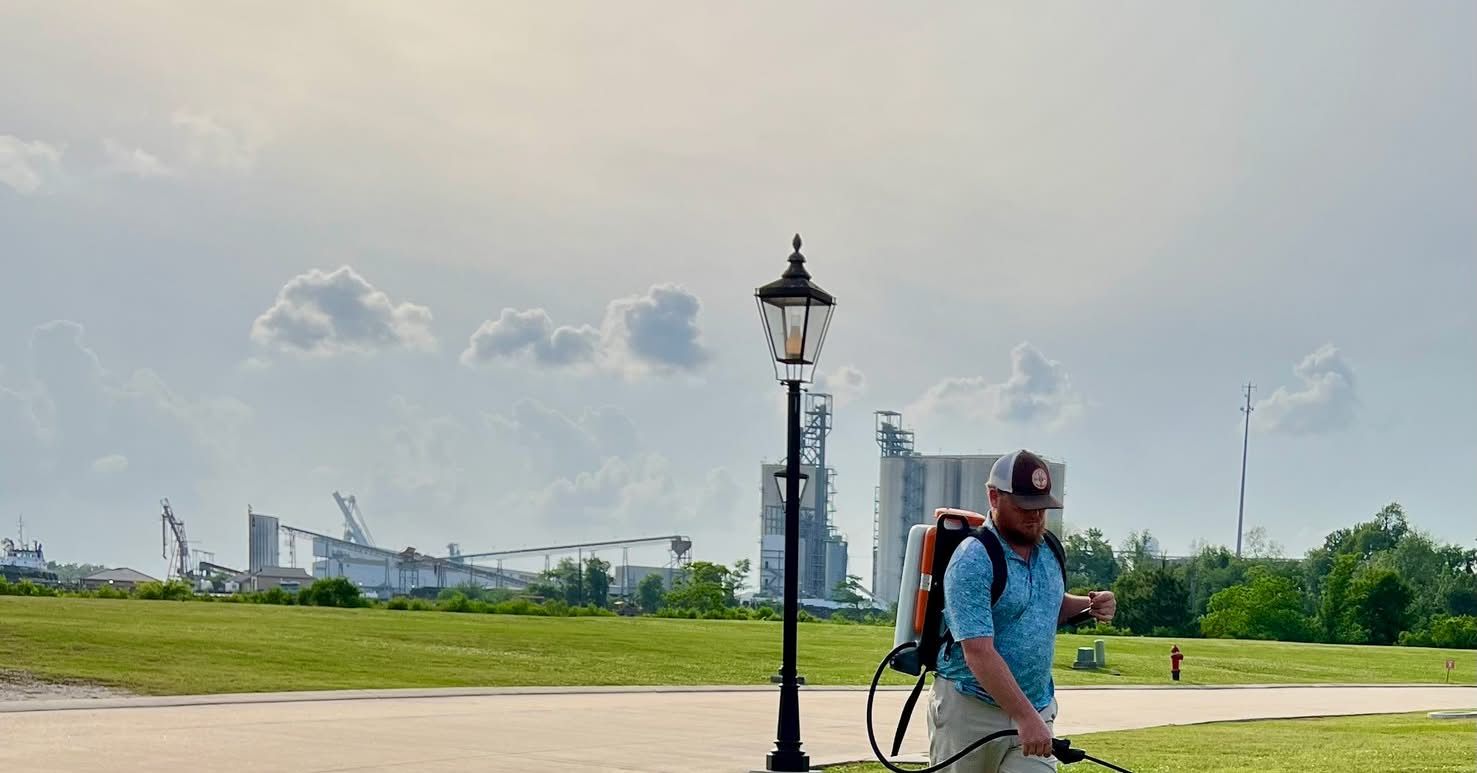 Man spraying grass with a backpack sprayer on a sunny day in a park, with buildings in the background.