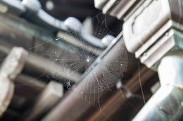 Spider web strung between wooden architectural details. The web is covered in tiny droplets, catching light.