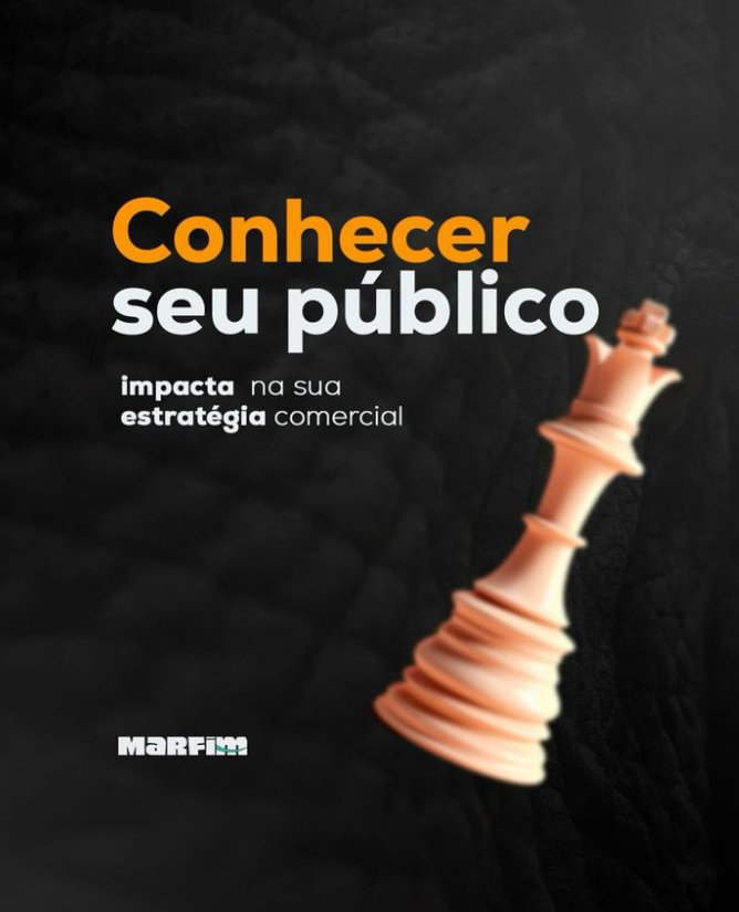 A chess piece on the cover of a book titled conhecer seu publico