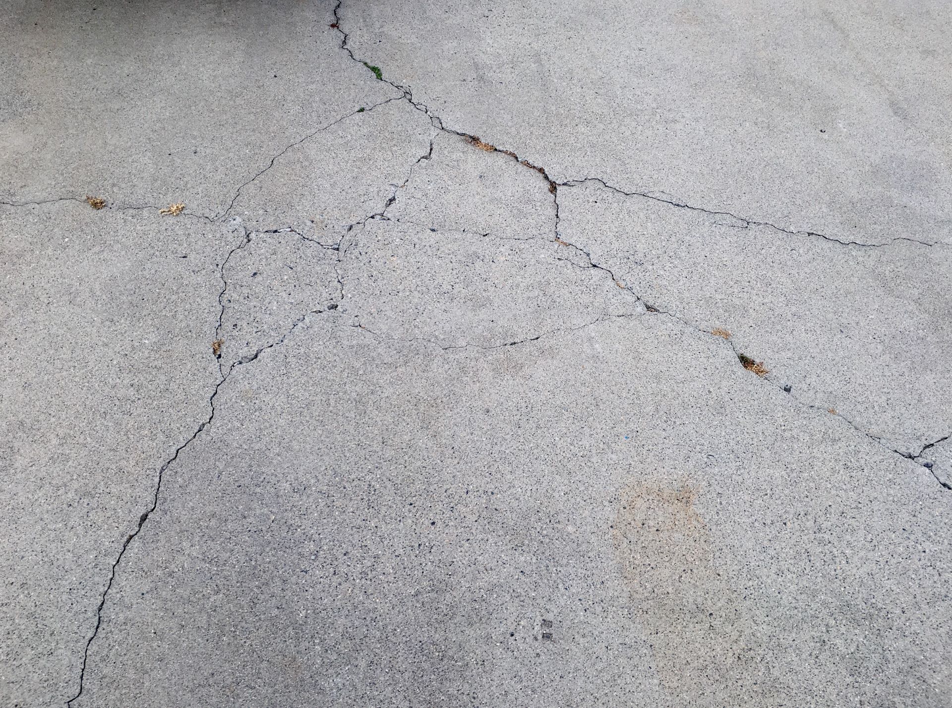 driveway damaged by tree roots, cracking
