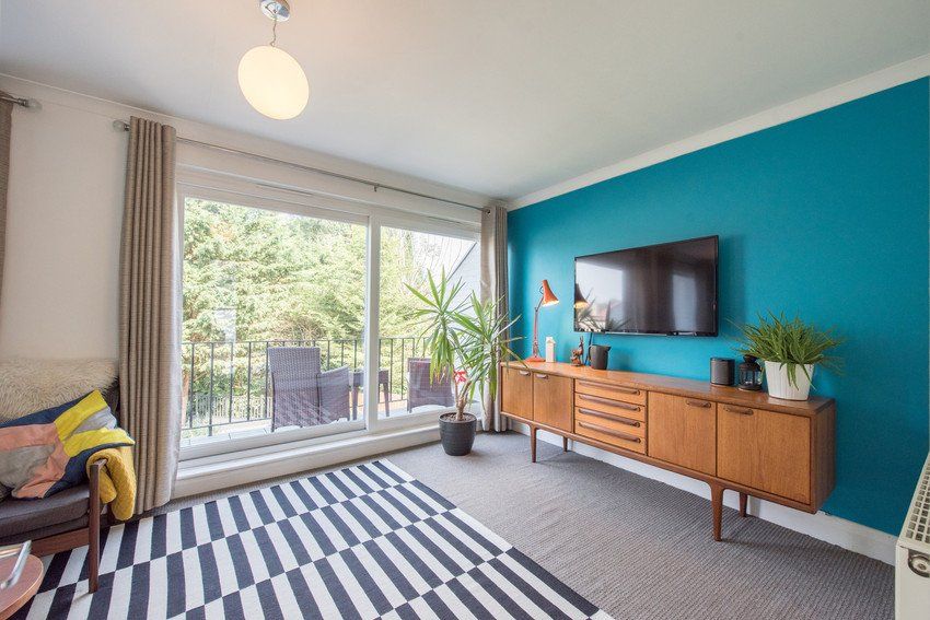 Room with one blue wall, a grey carpet and a black and white rug