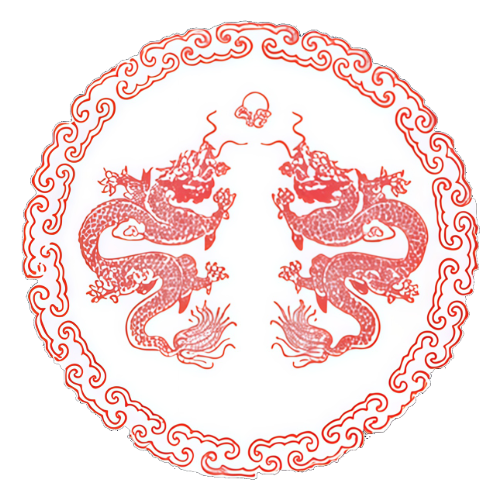 Double Dragon Icon Logo with two red dragons in a circle
