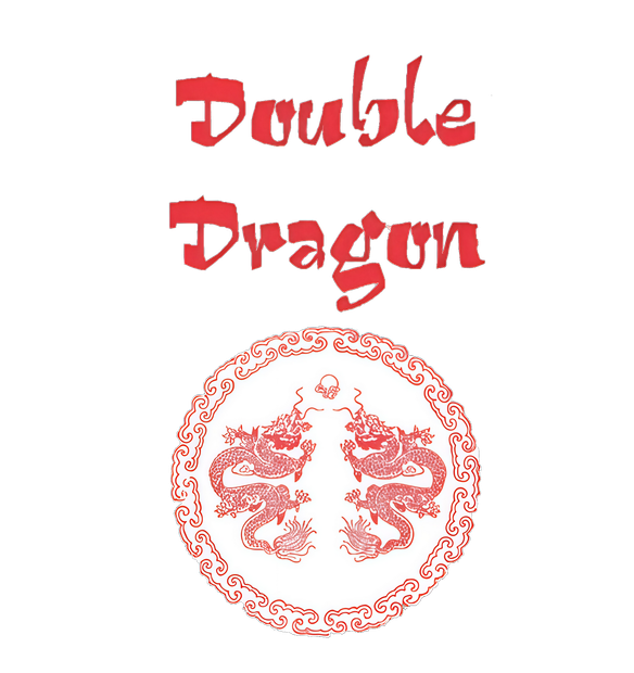 Double Dragon Full Logo with two red dragons in a circle