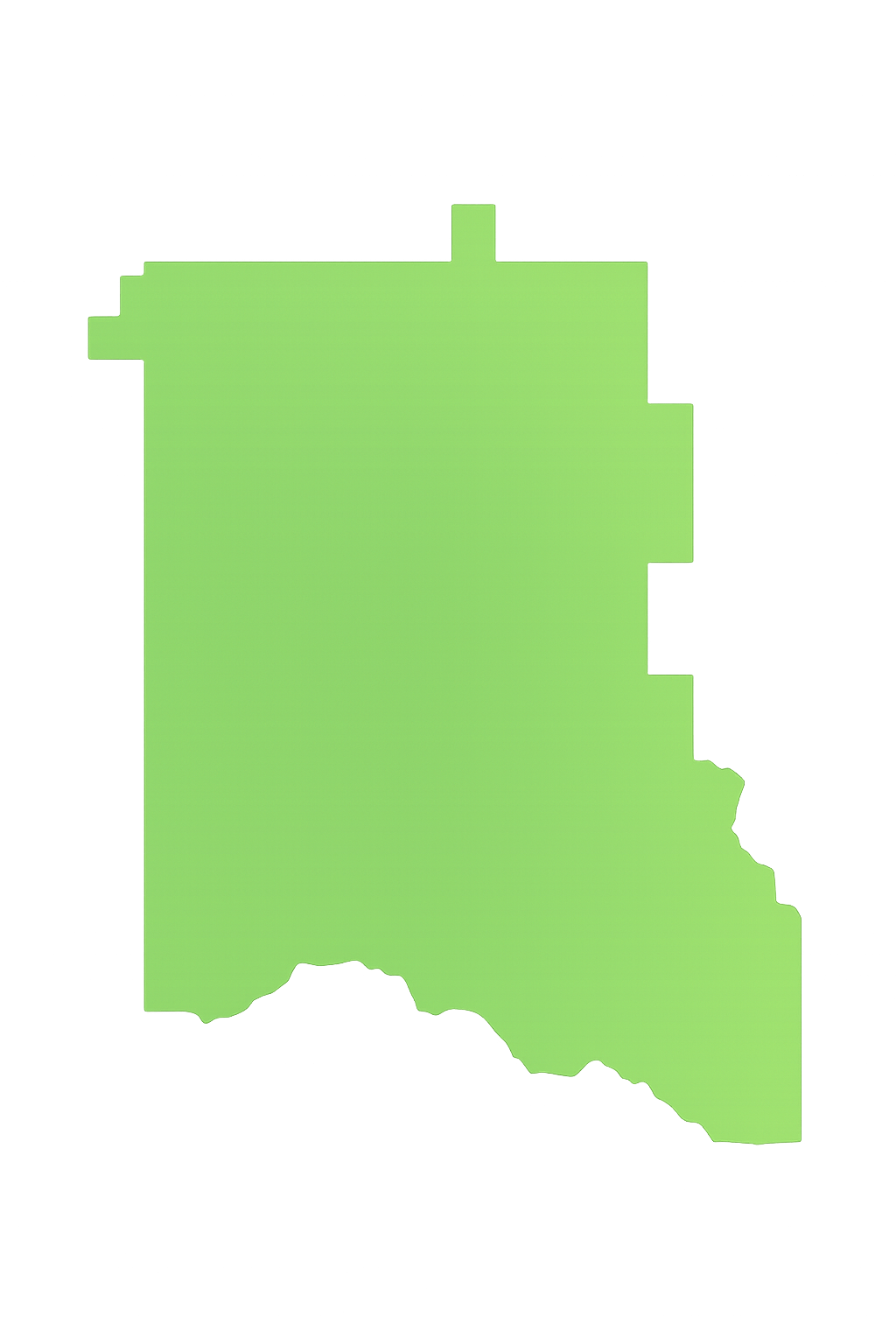 View Pro Touch Movers' full-service moving coverage across Florida counties. A green map of the state of texas on a white background.