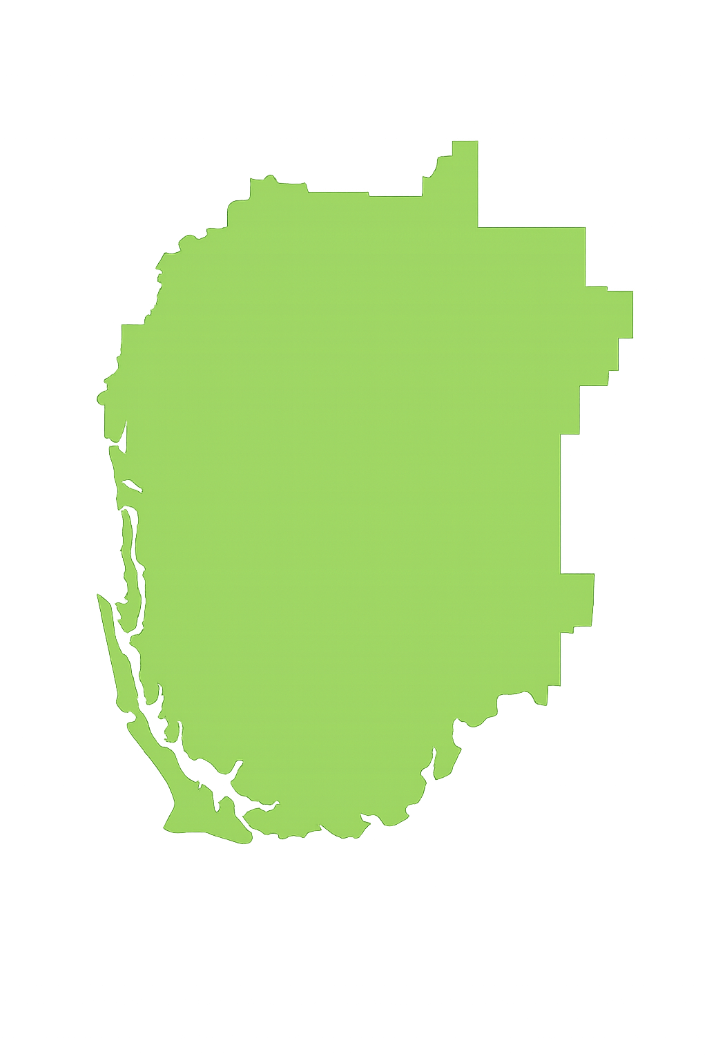 View Pro Touch Movers' full-service moving coverage across Florida counties. A green map of florida on a white background.