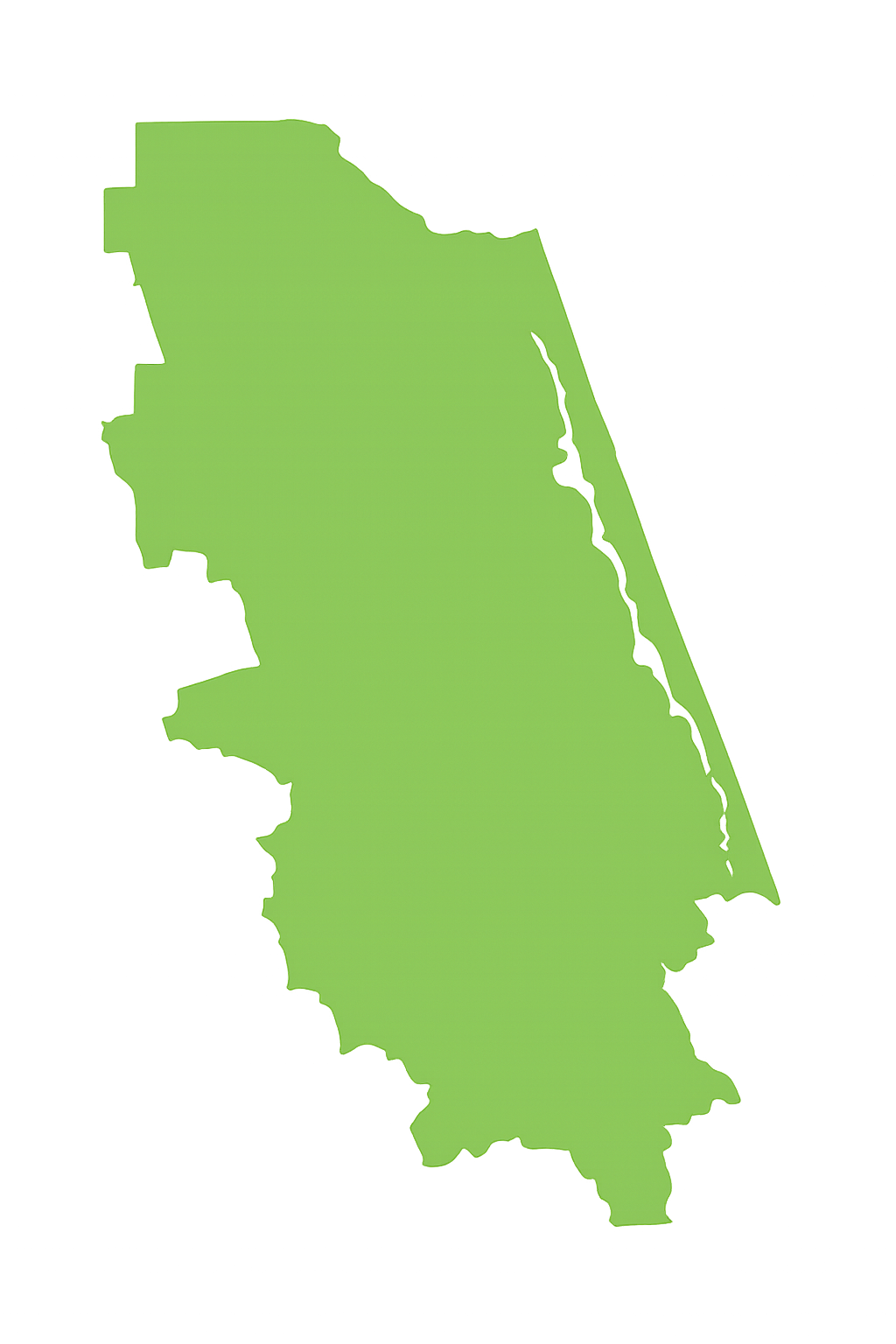 View Pro Touch Movers' full-service moving coverage across Florida counties. A green map of a country on a white background.