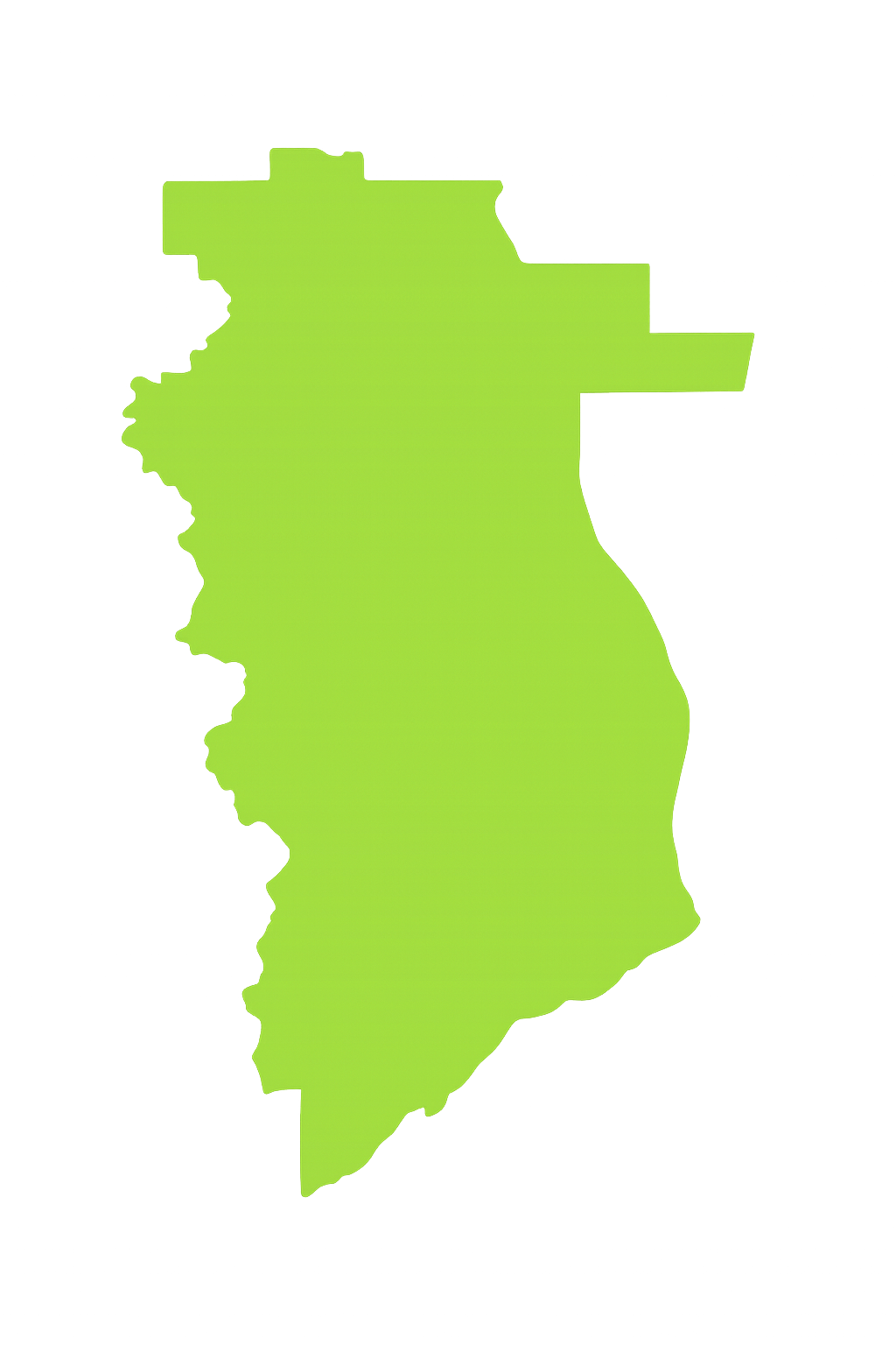 View Pro Touch Movers' full-service moving coverage across Florida counties. A green map of a country on a white background.