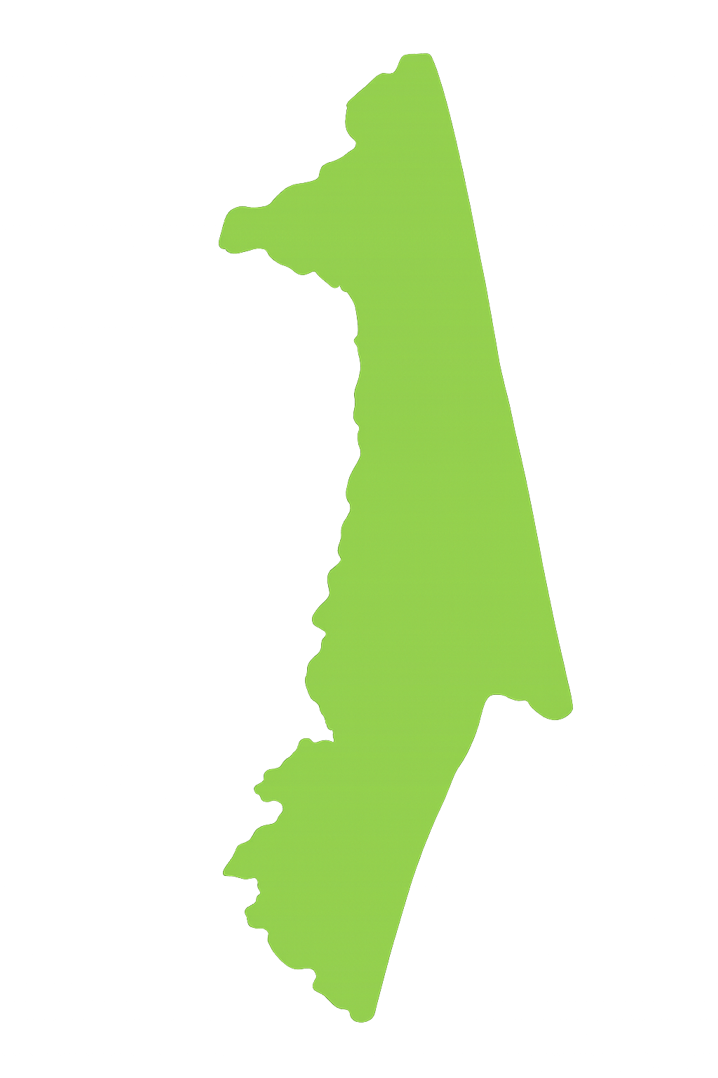 View Pro Touch Movers' full-service moving coverage across Florida counties. A green silhouette of a country on a white background.