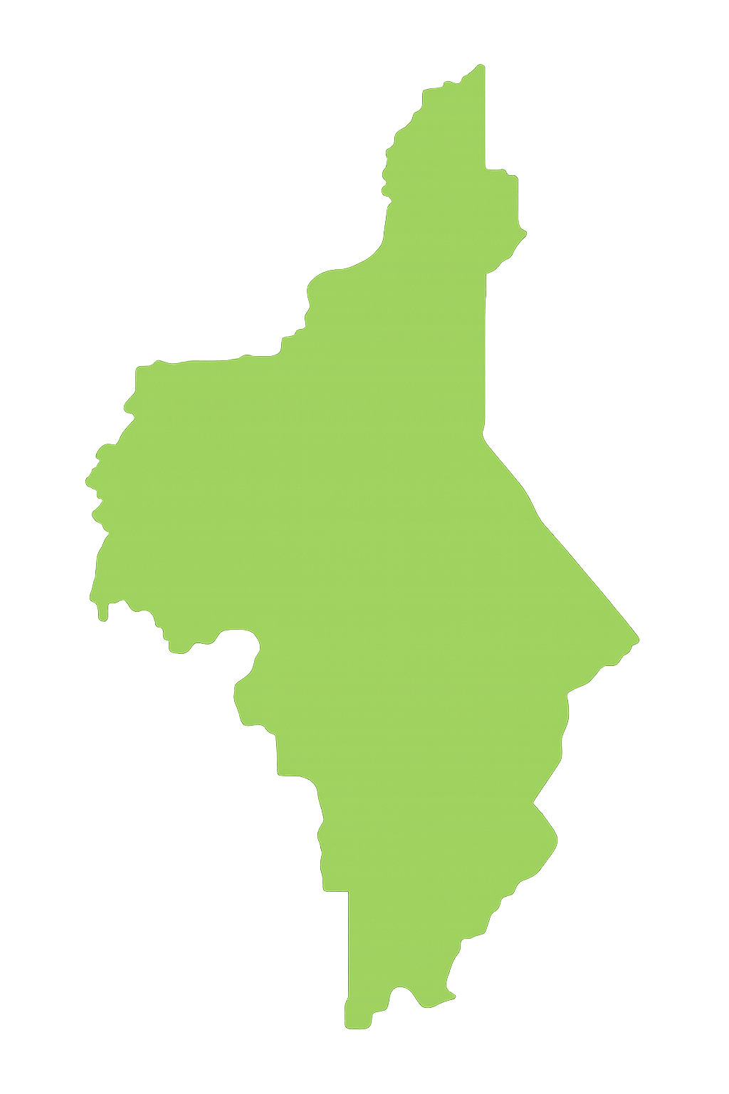 View Pro Touch Movers' full-service moving coverage across Florida counties. A green map of a country on a white background.